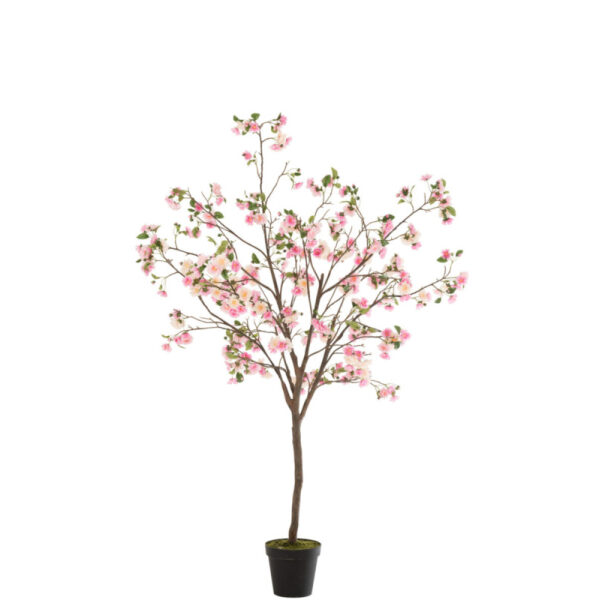 BLOSSOMTREE PLASTIC PINK/BROWN LARGE