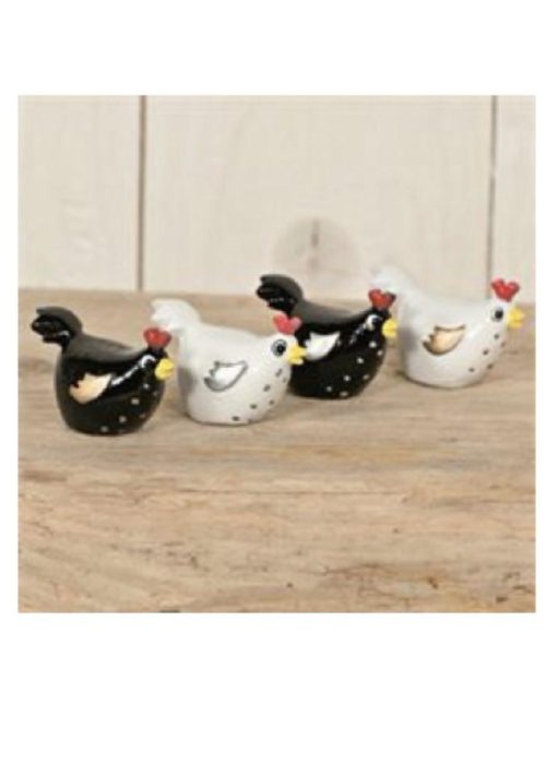 Minihøner - sort og hvit