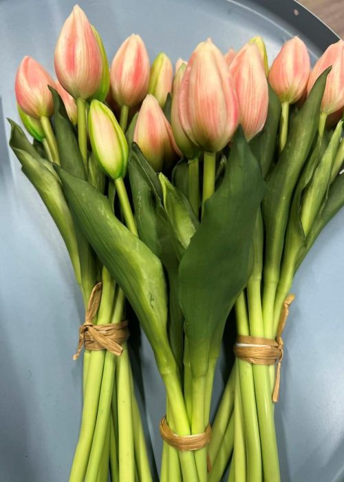 Naturtro kunstige tulipaner - lys rosa