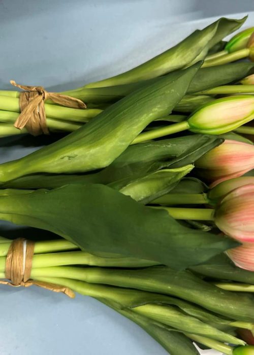 Naturtro kunstige tulipaner - lys rosa