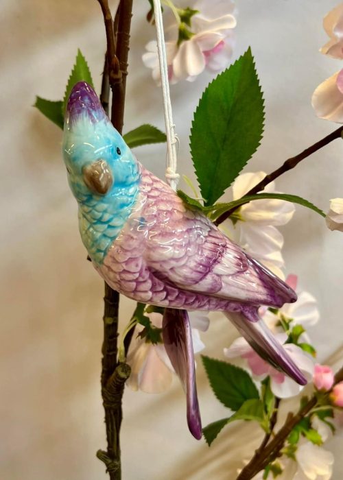 EDG papegøye - heng - lilla